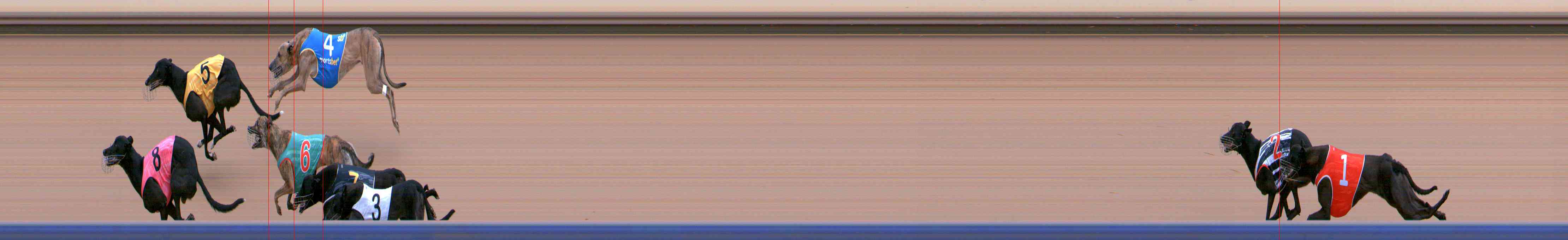 Photo finish for Healesville Race 2