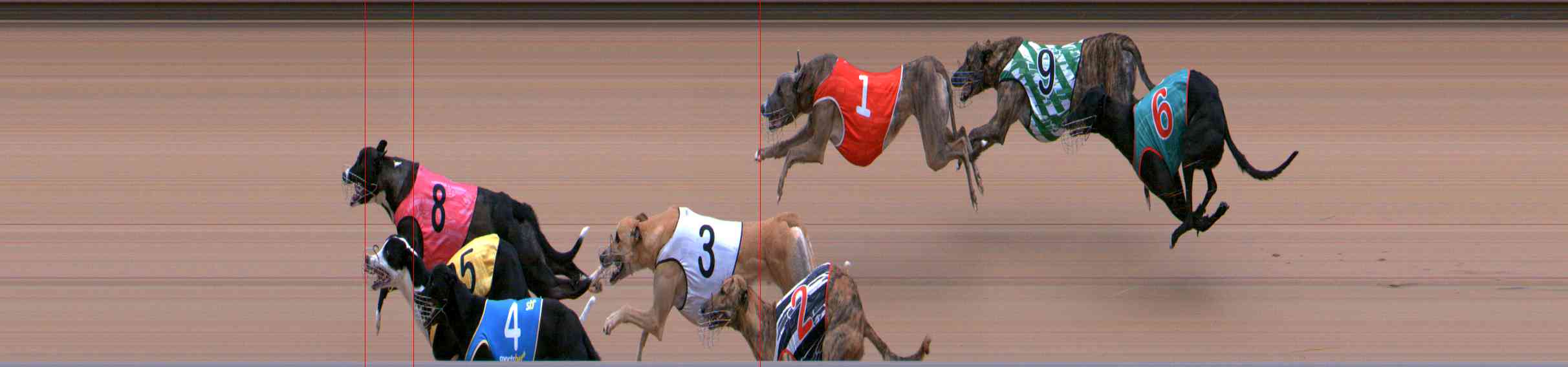 Photo finish for Healesville Race 3