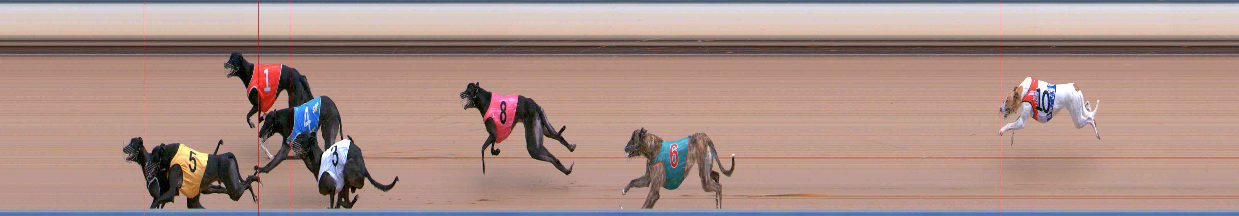 Photo finish for Healesville Race 4