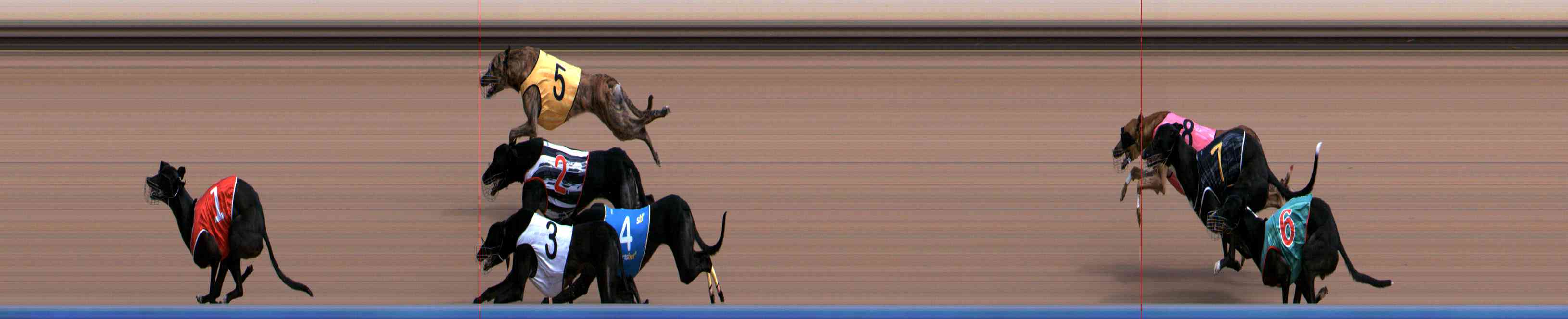 Photo finish for Healesville Race 5