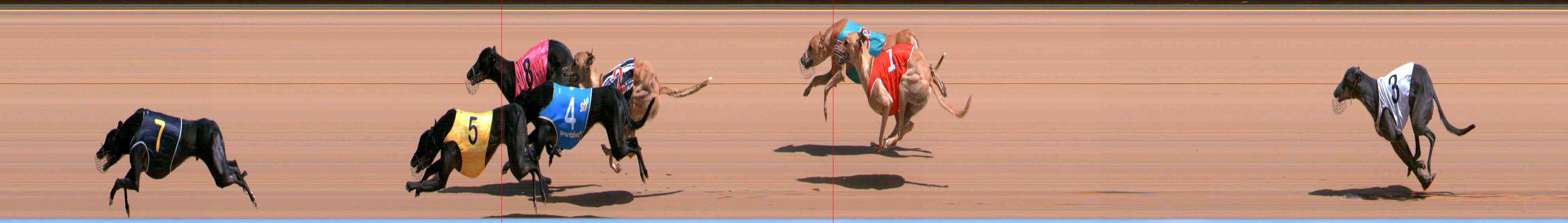 Photo finish for Healesville Race 6