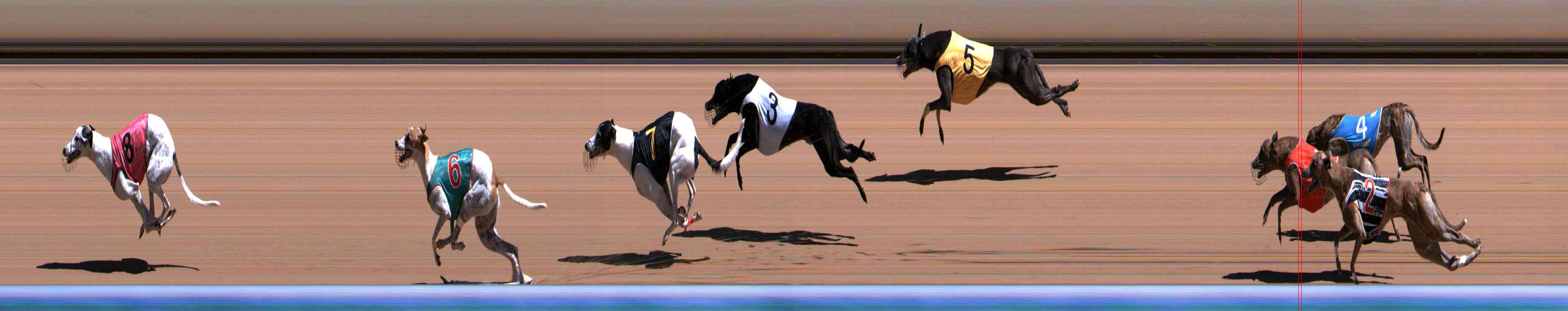 Photo finish for Healesville Race 7