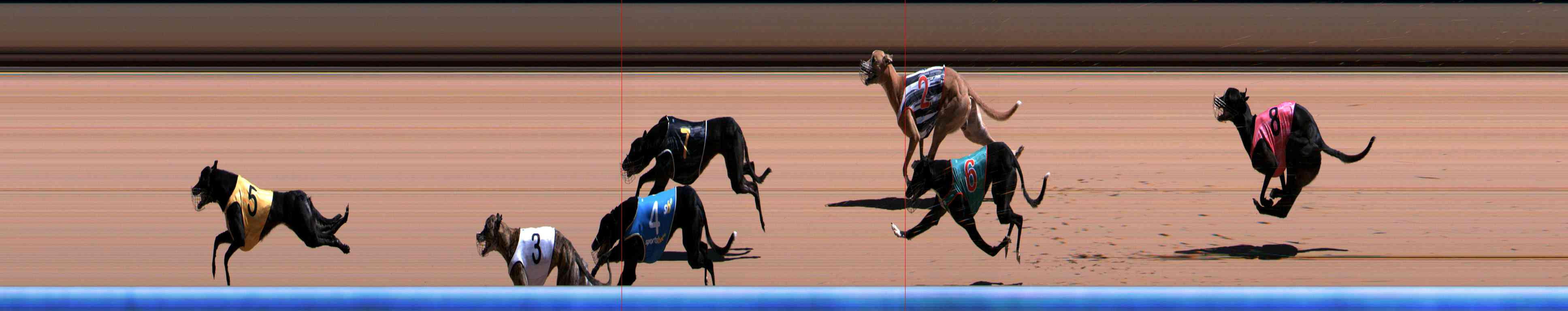Photo finish for Healesville Race 8