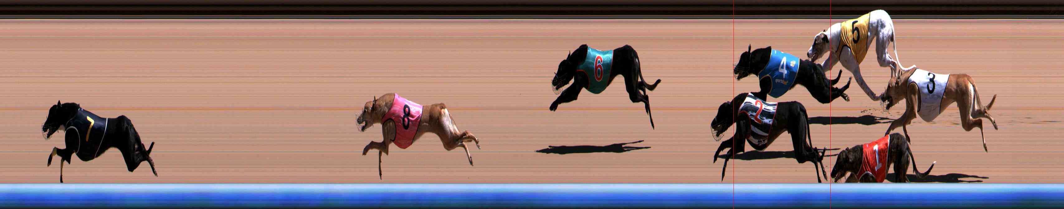 Photo finish for Healesville Race 9