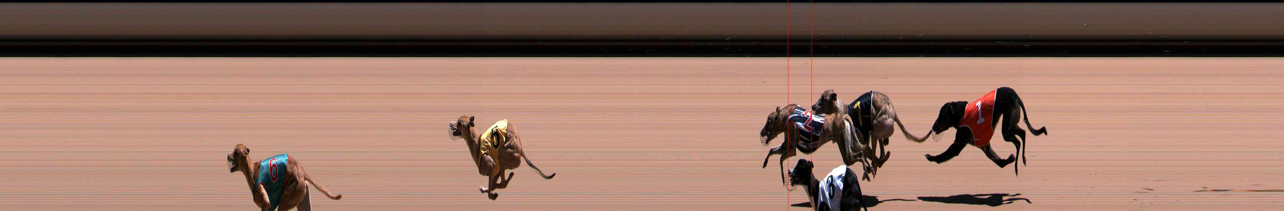 Photo finish for Healesville Race 10