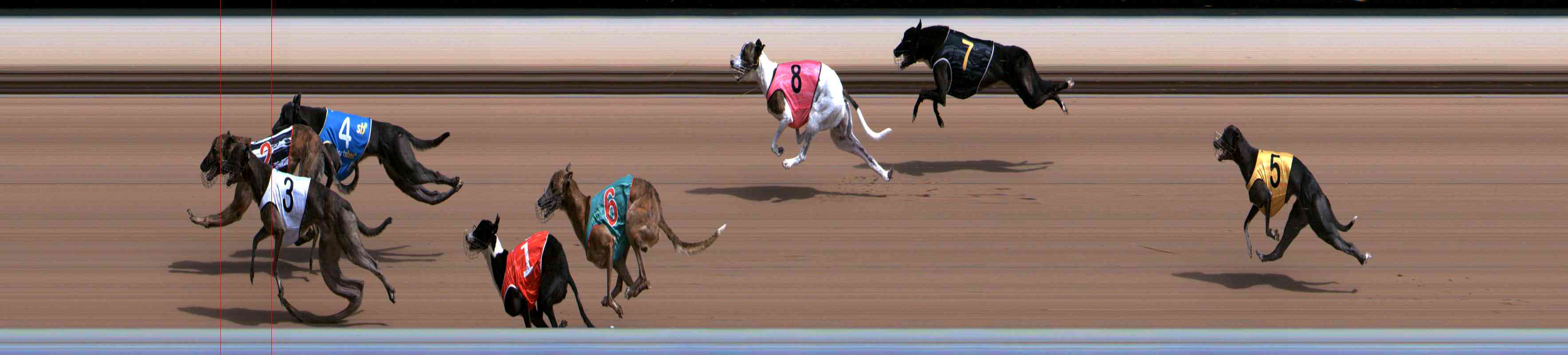 Photo finish for Healesville Race 2