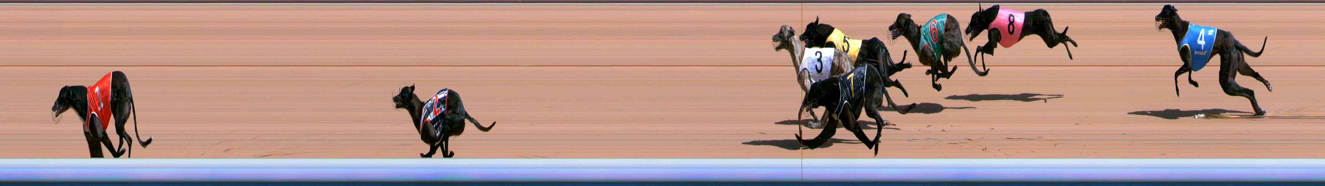 Photo finish for Healesville Race 4