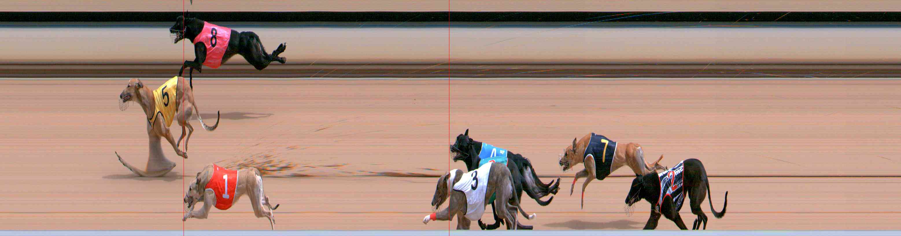 Photo finish for Healesville Race 6