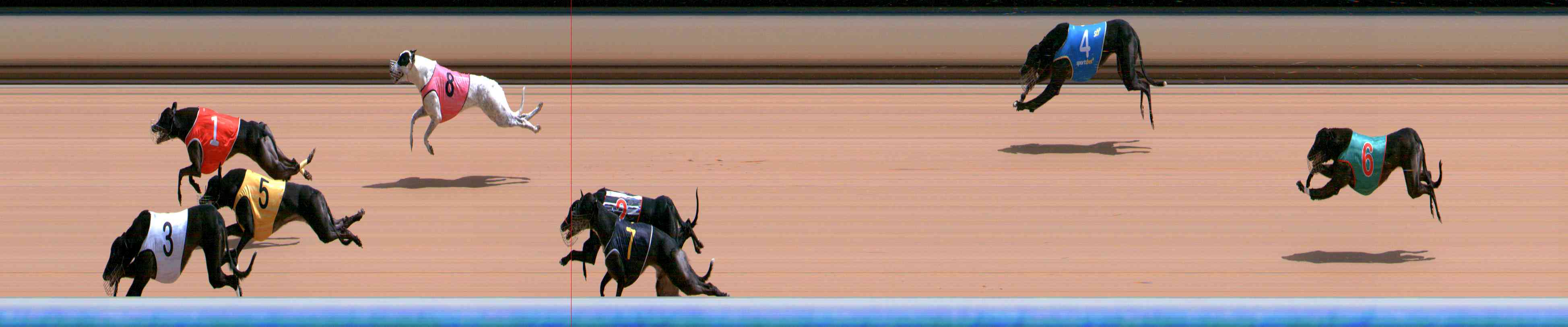 Photo finish for Healesville Race 7