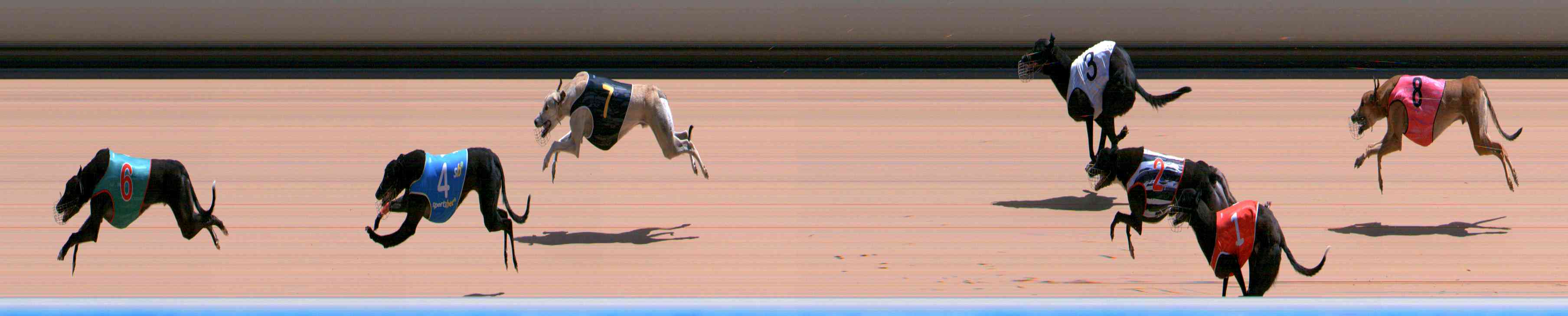 Photo finish for Healesville Race 9