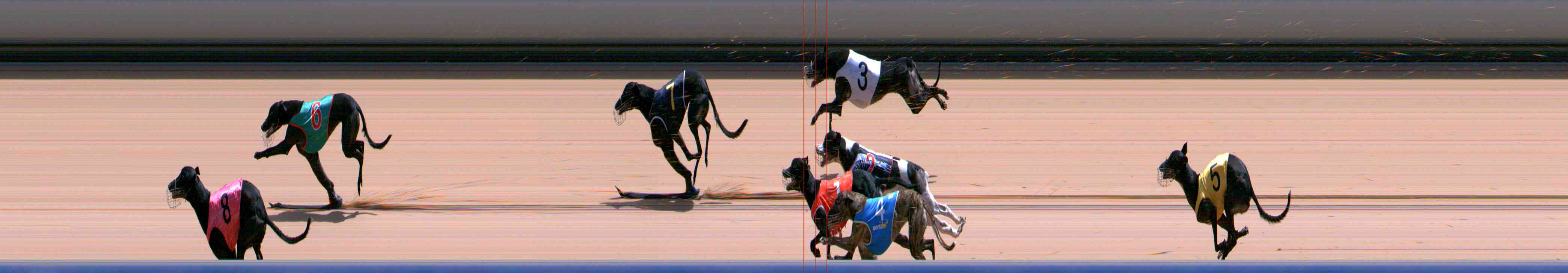 Photo finish for Healesville Race 10