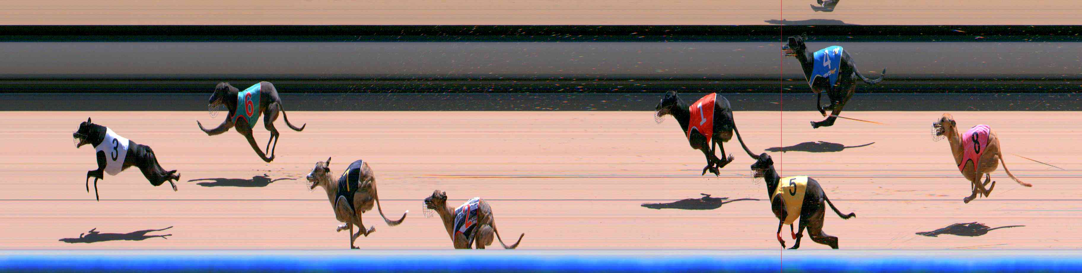 Photo finish for Healesville Race 11