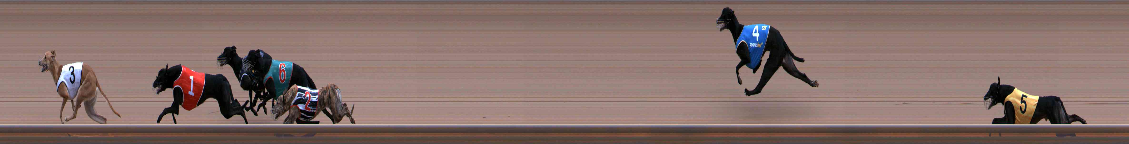 Photo finish for Healesville Race 1