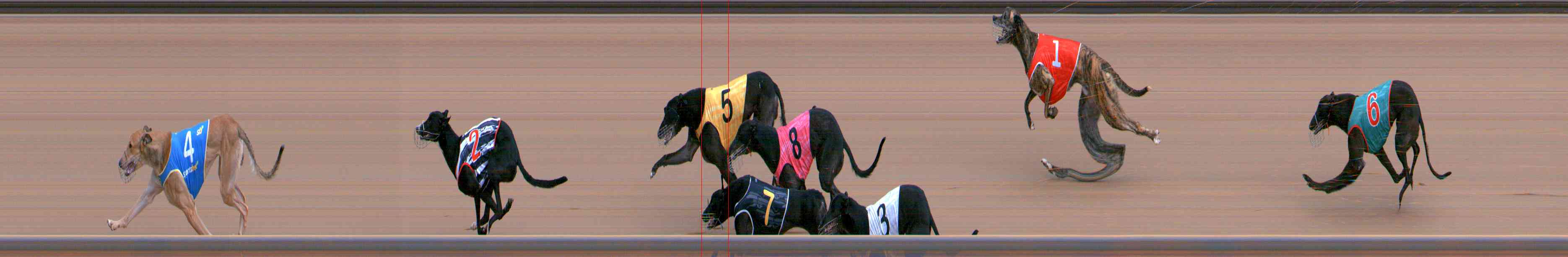 Photo finish for Healesville Race 2