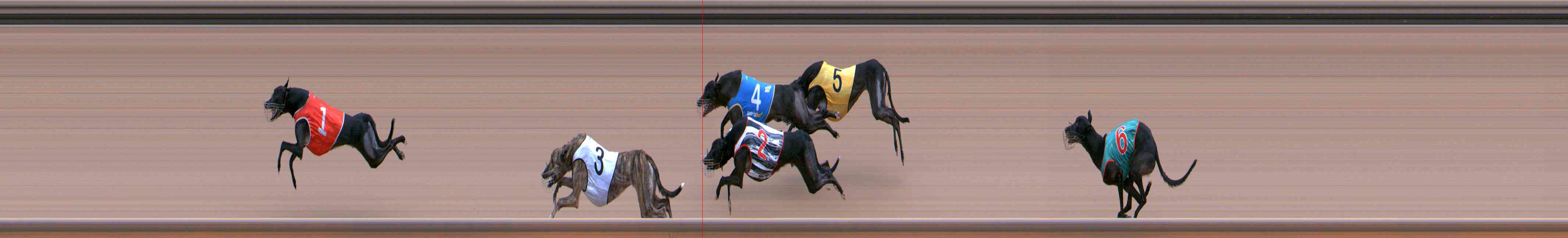 Photo finish for Healesville Race 3
