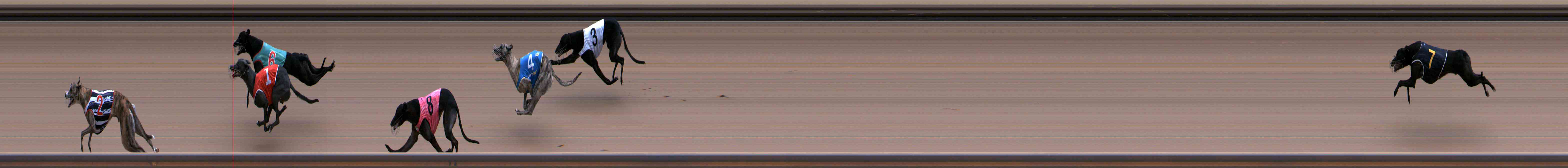 Photo finish for Healesville Race 4