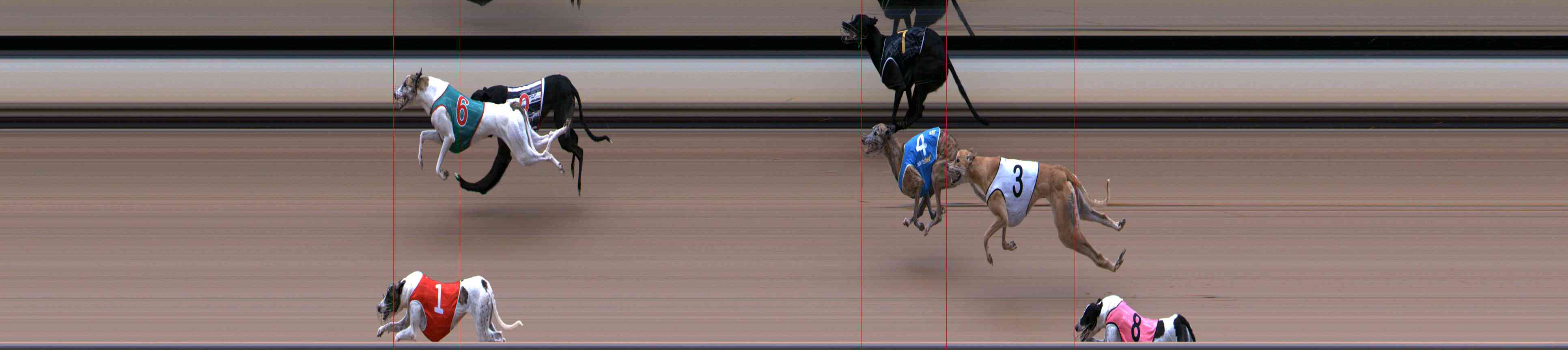 Photo finish for Healesville Race 5