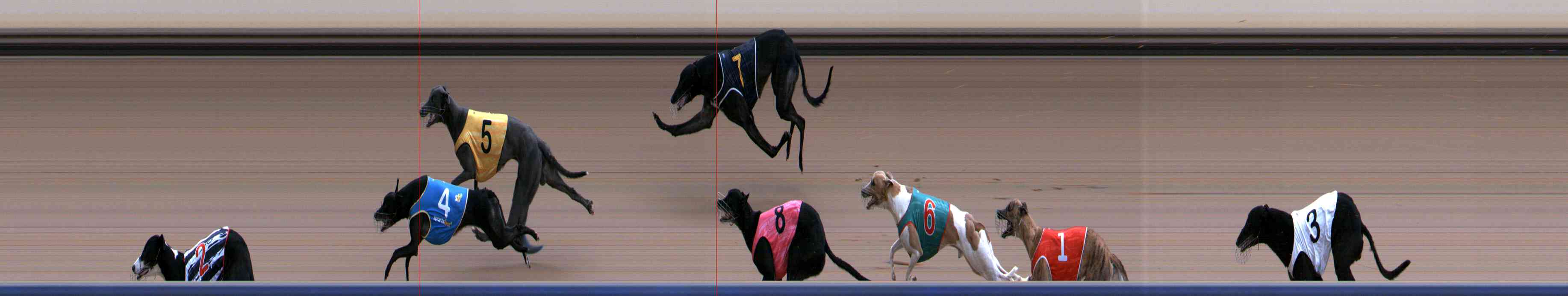 Photo finish for Healesville Race 6