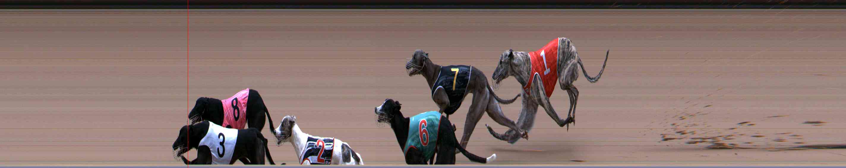 Photo finish for Healesville Race 7