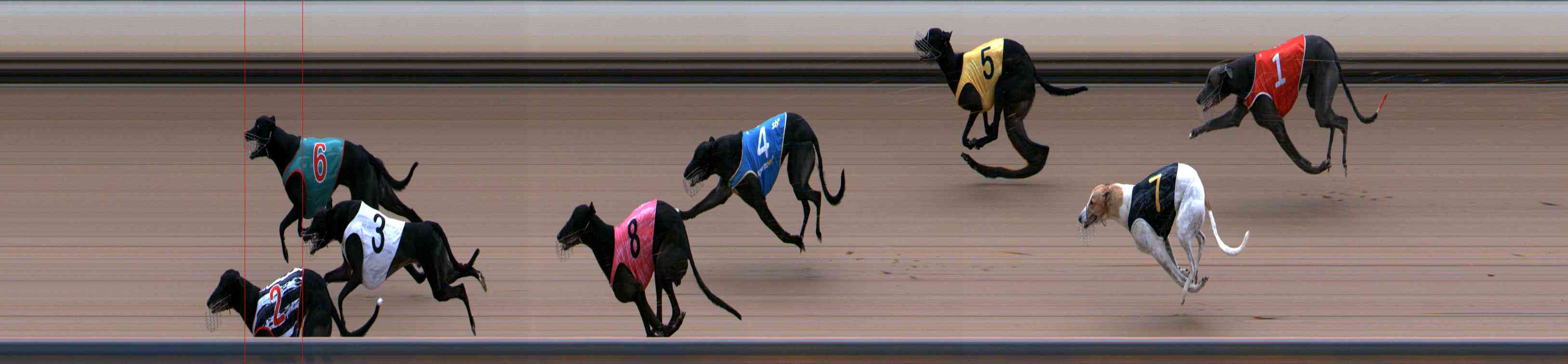 Photo finish for Healesville Race 8
