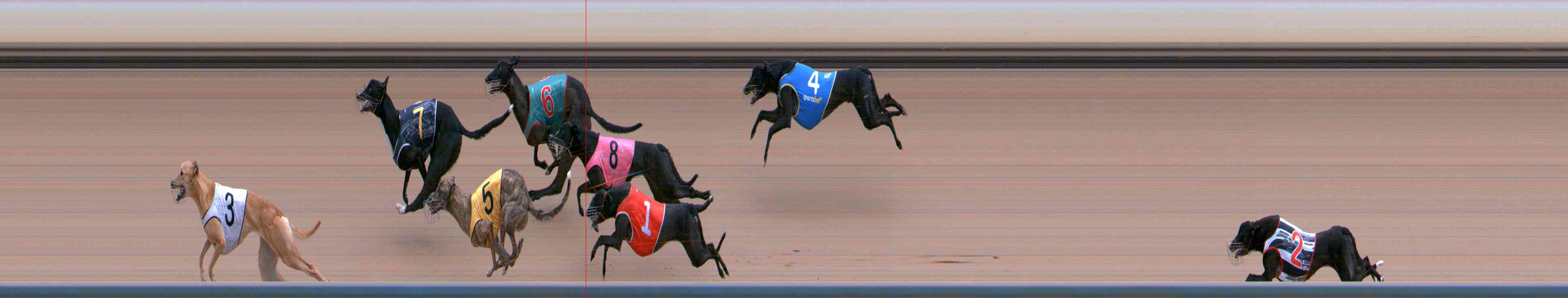 Photo finish for Healesville Race 9