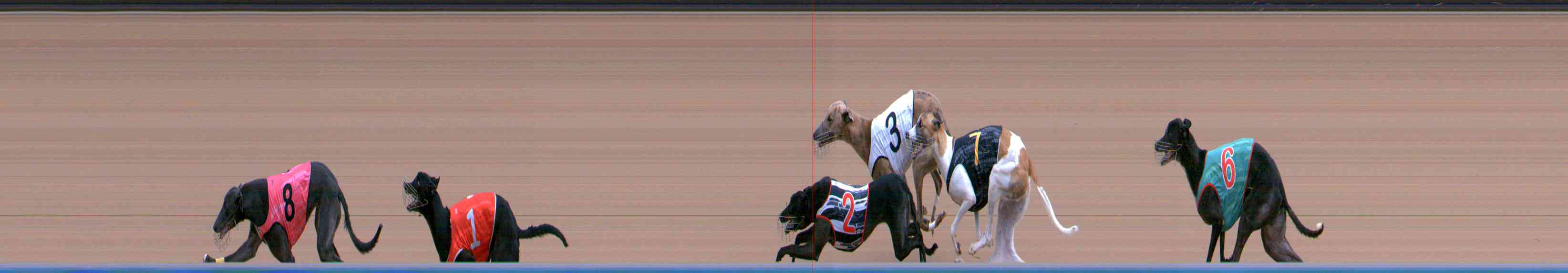 Photo finish for Healesville Race 10