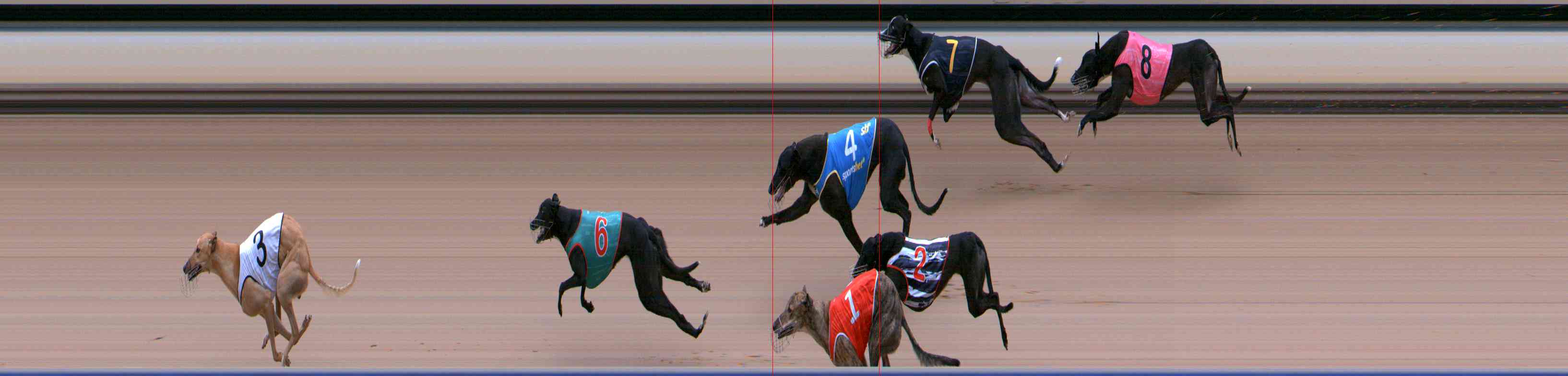 Photo finish for Healesville Race 11