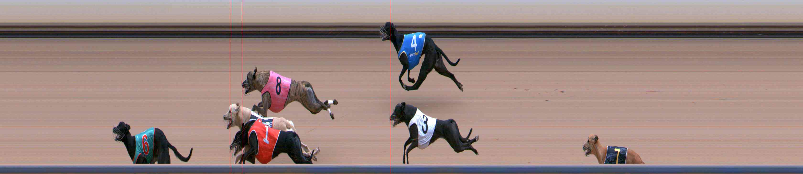 Photo finish for Healesville Race 12
