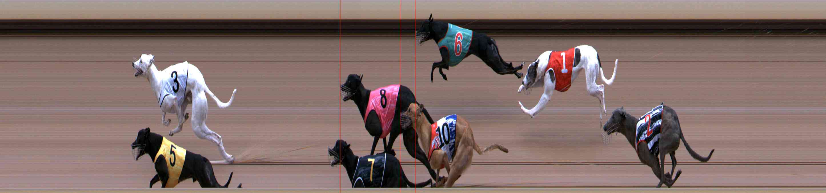 Photo finish for Healesville Race 1