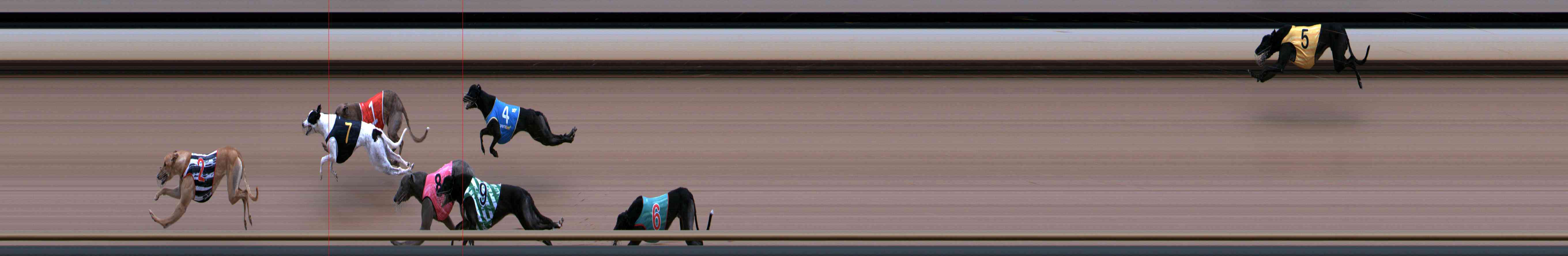 Photo finish for Healesville Race 2
