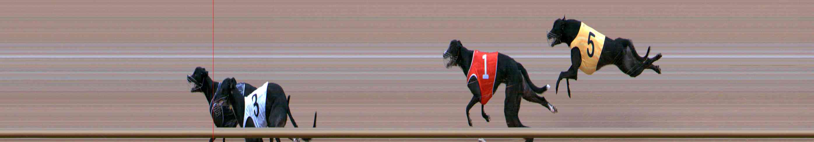 Photo finish for Healesville Race 4