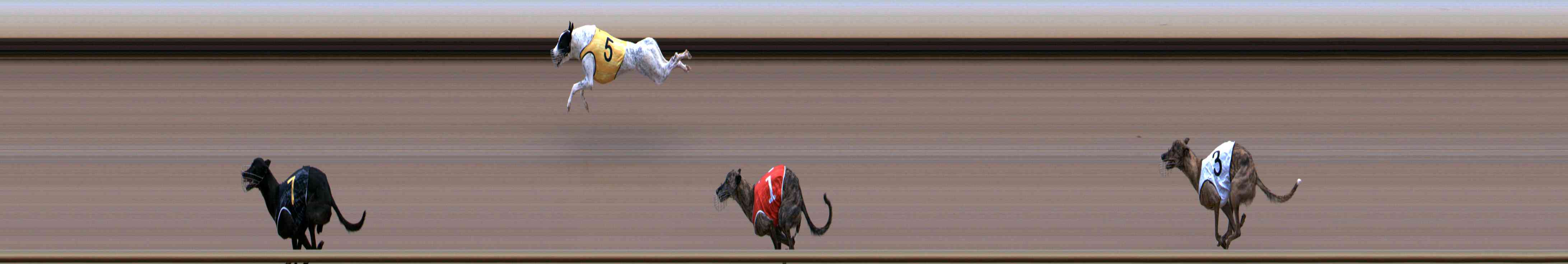 Photo finish for Healesville Race 7