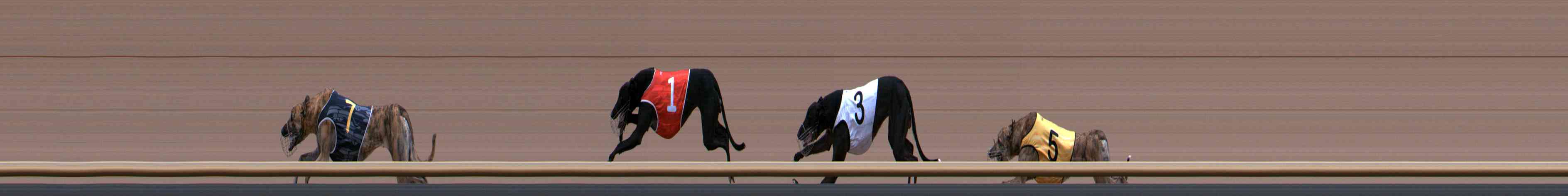 Photo finish for Healesville Race 10
