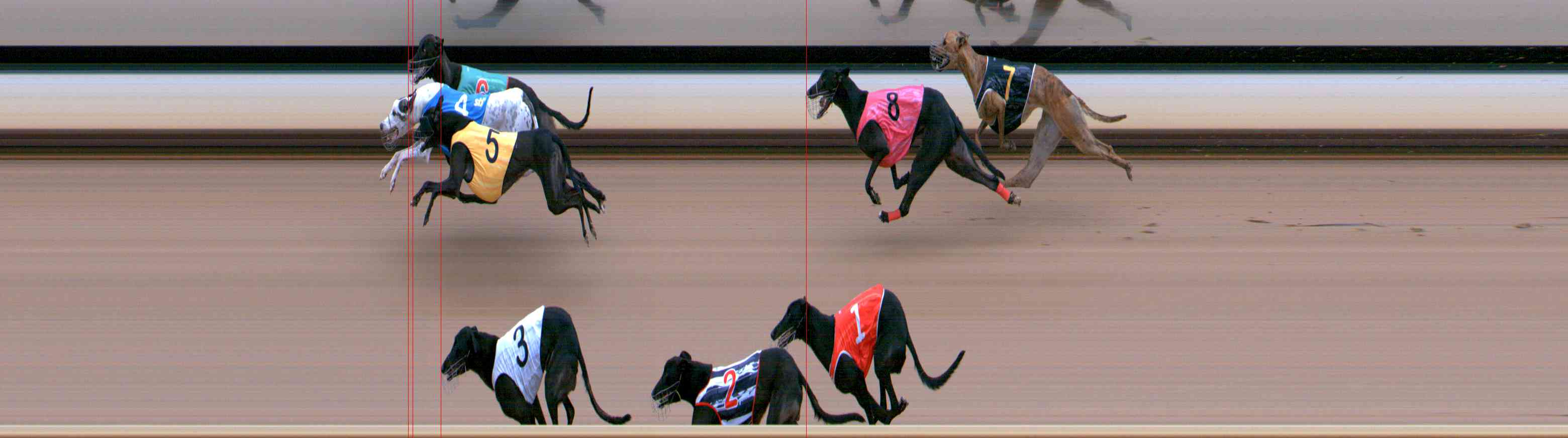 Photo finish for Healesville Race 11