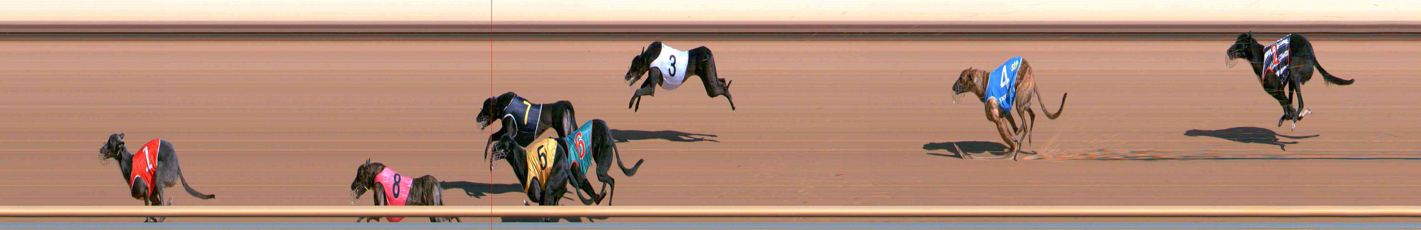 Photo finish for Healesville Race 1
