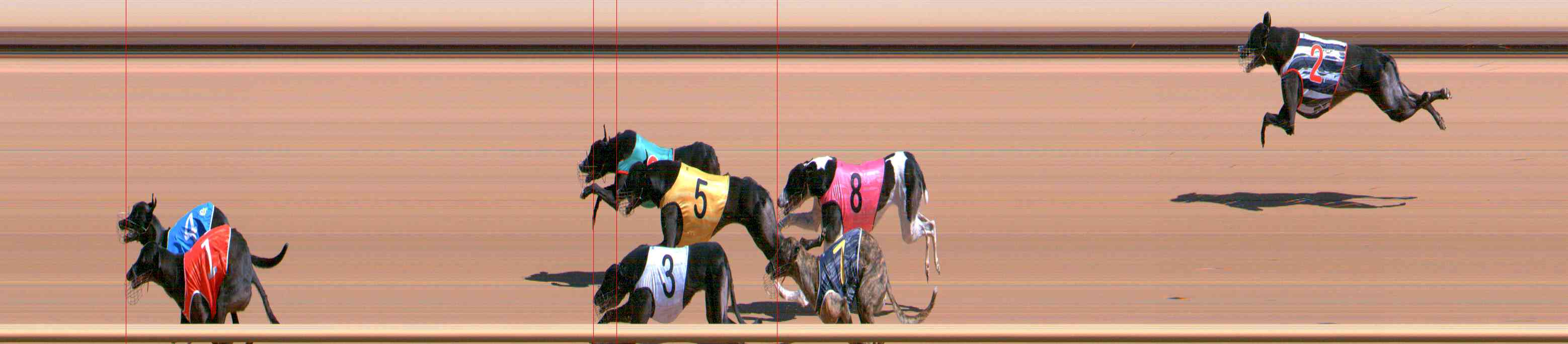 Photo finish for Healesville Race 4