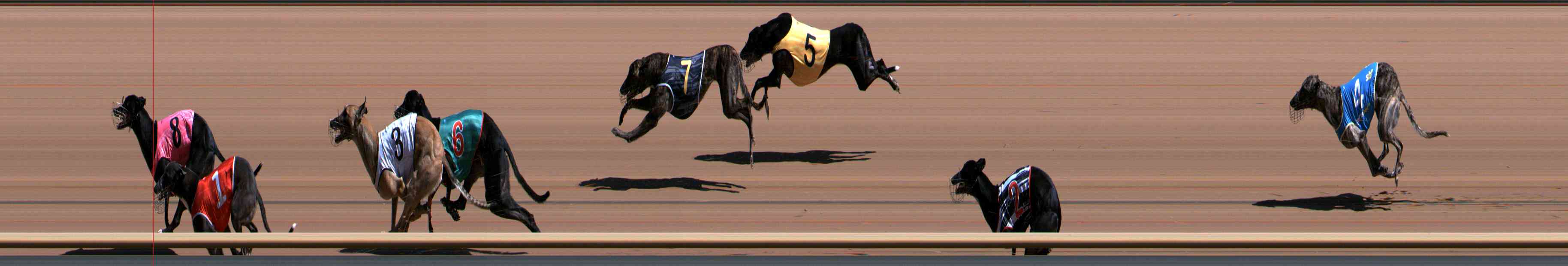 Photo finish for Healesville Race 5