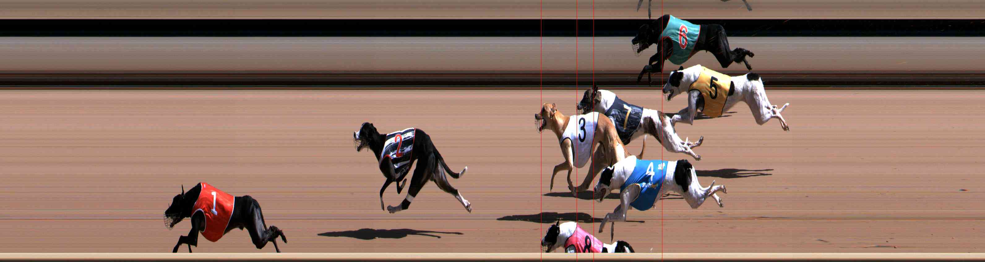 Photo finish for Healesville Race 6