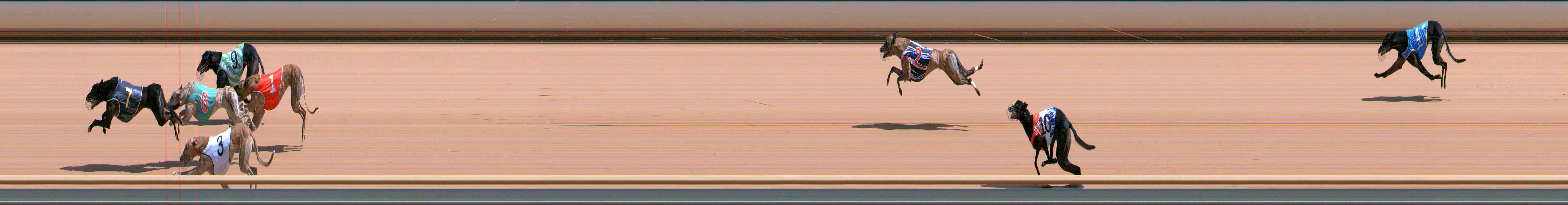 Photo finish for Healesville Race 7