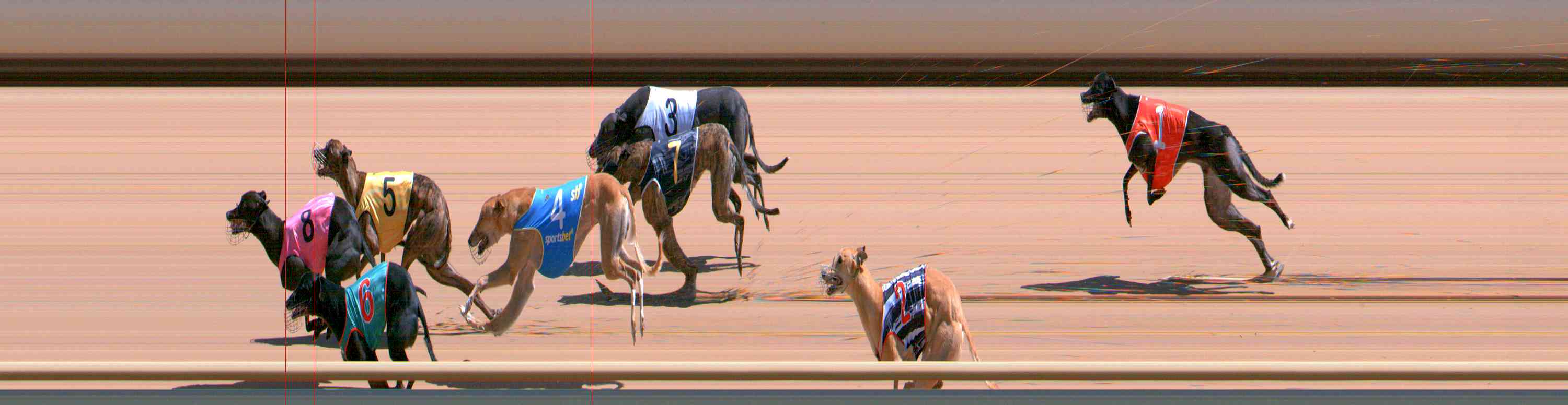 Photo finish for Healesville Race 8
