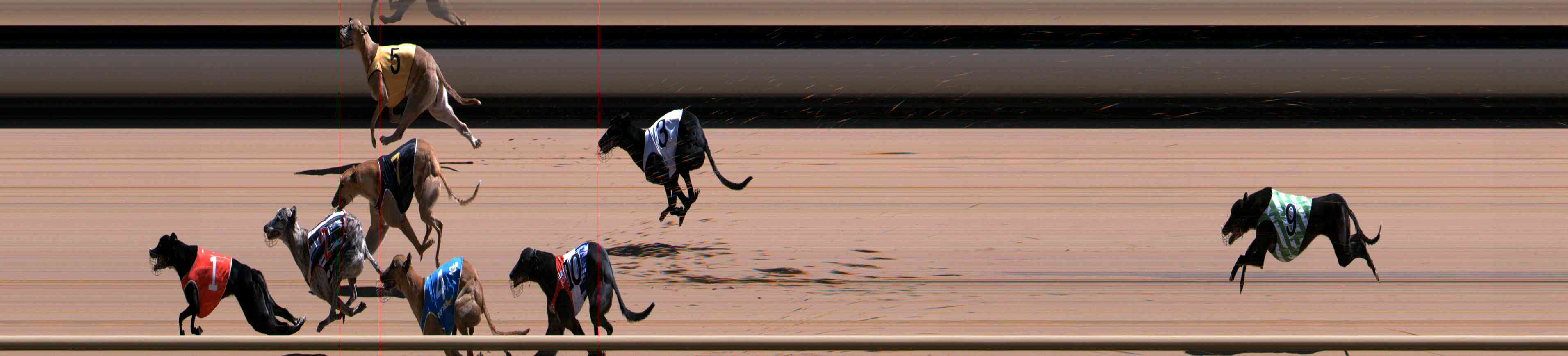 Photo finish for Healesville Race 9