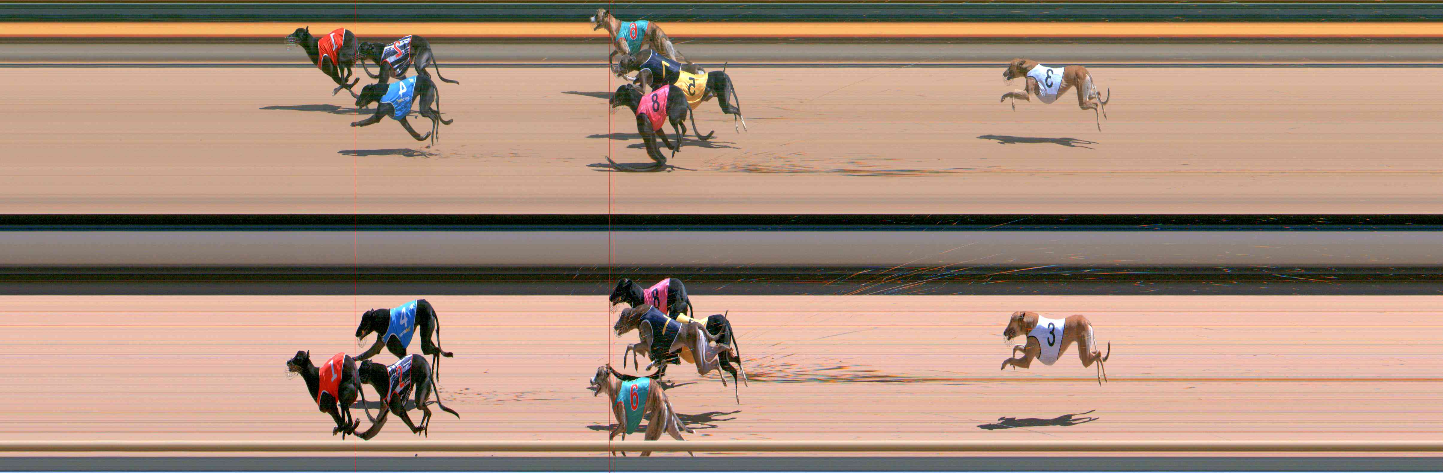 Photo finish for Healesville Race 10