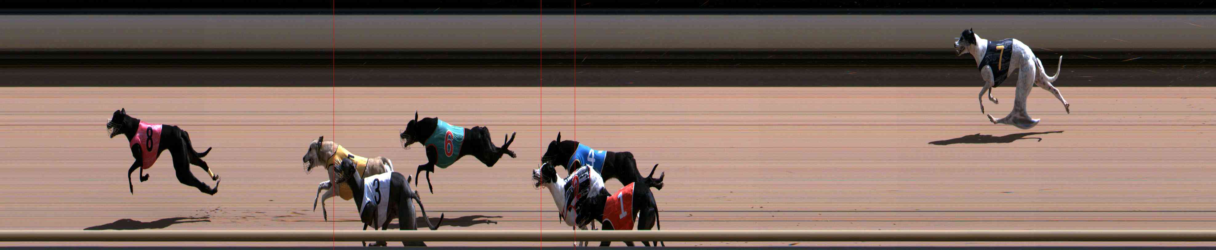 Photo finish for Healesville Race 11