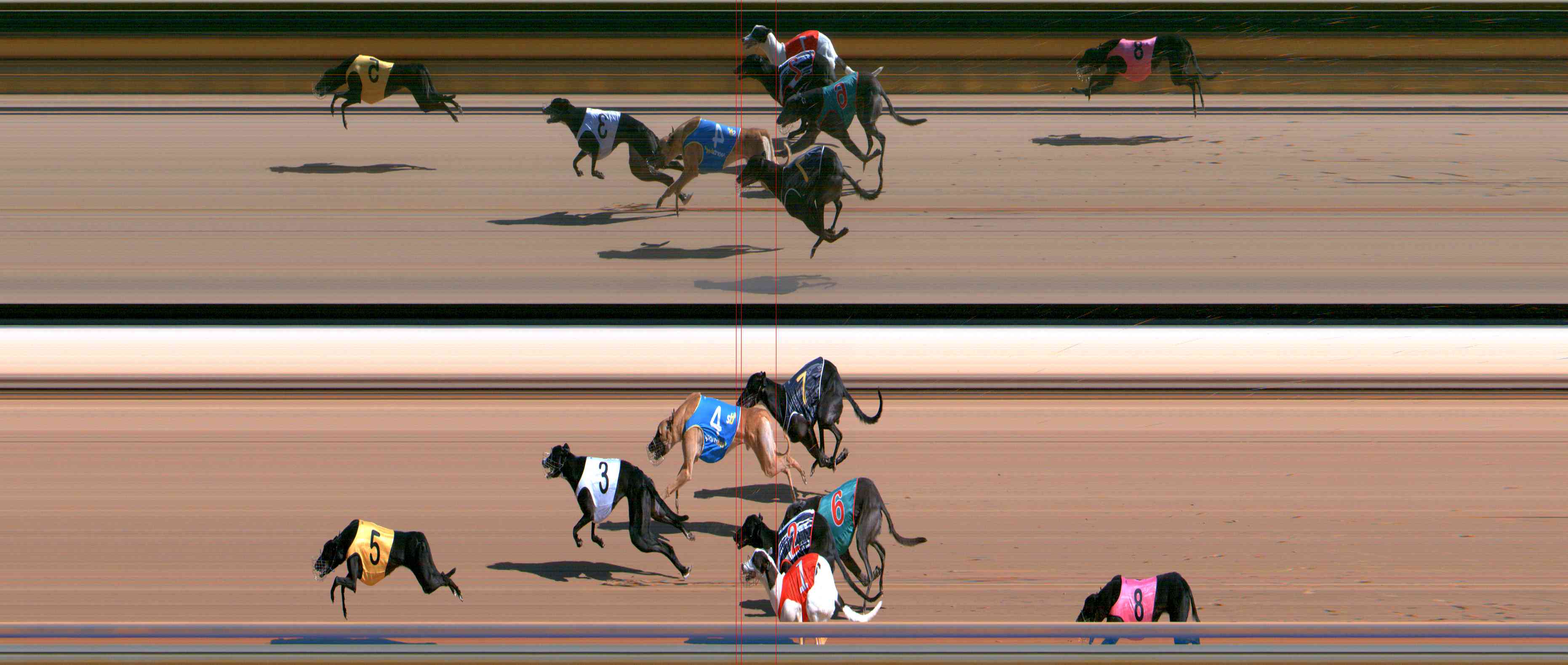 Photo finish for Healesville Race 1