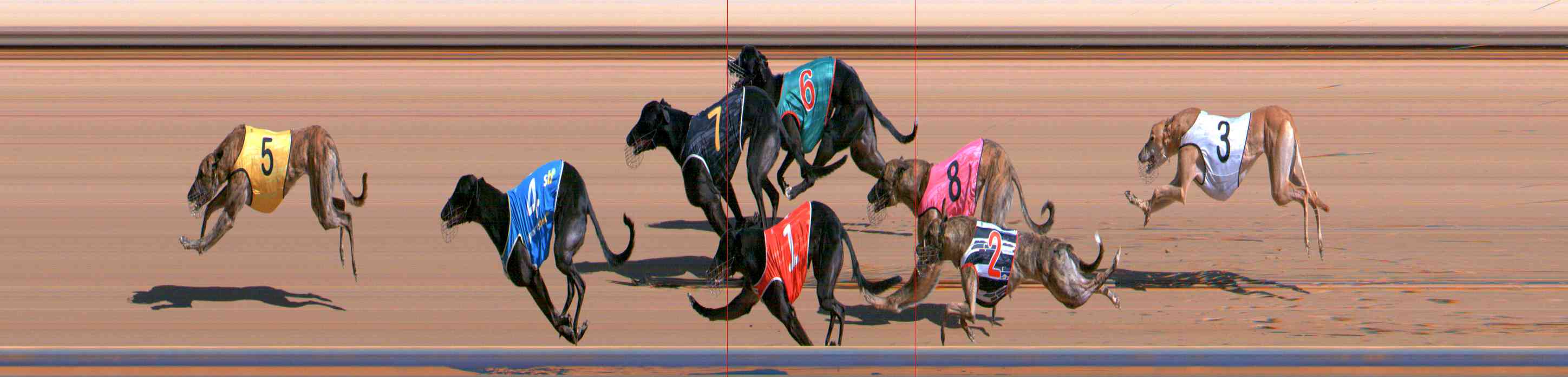 Photo finish for Healesville Race 2