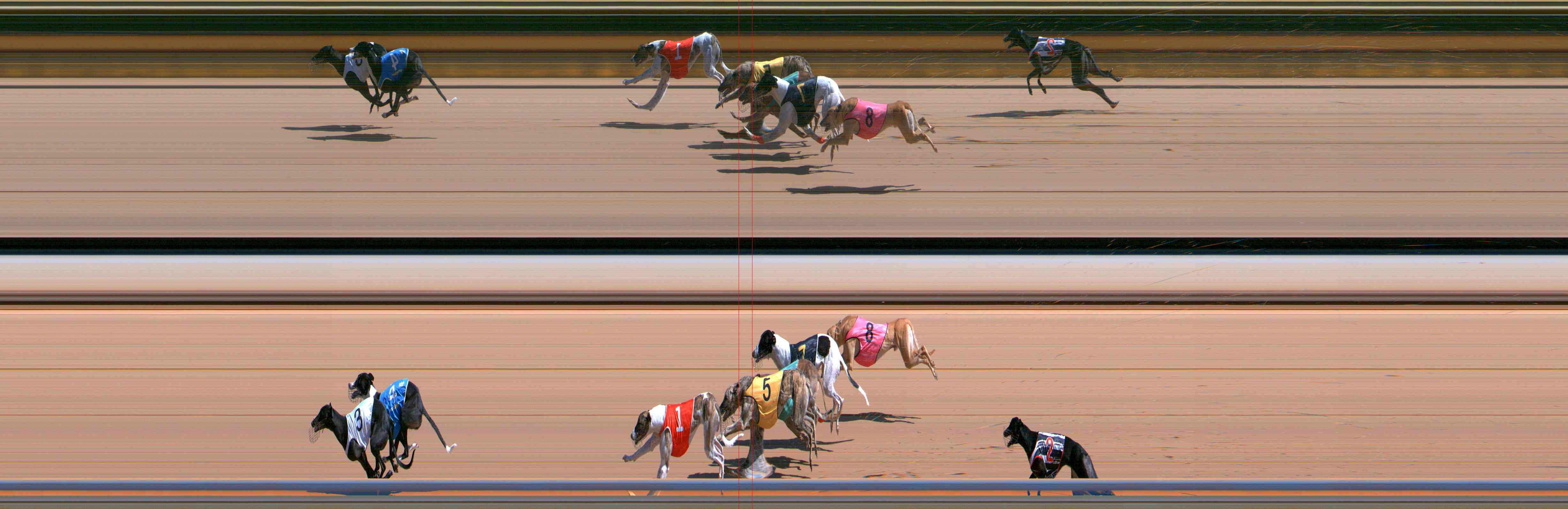 Photo finish for Healesville Race 4