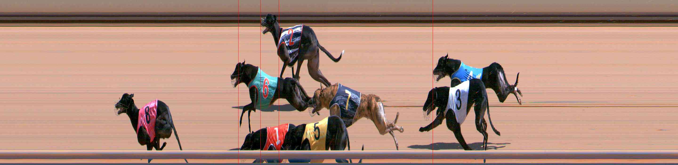 Photo finish for Healesville Race 7