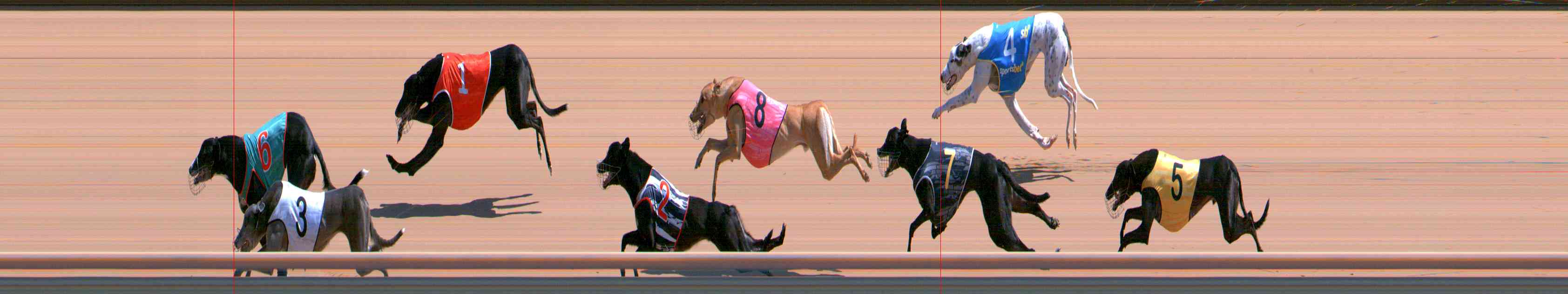 Photo finish for Healesville Race 8
