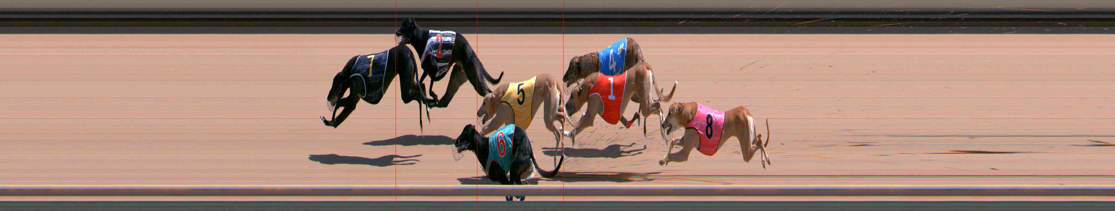 Photo finish for Healesville Race 9