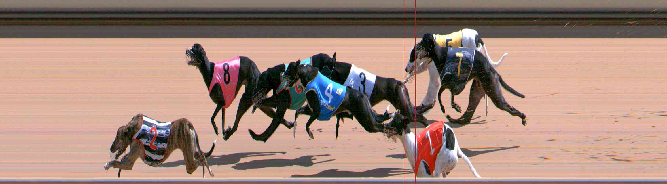 Photo finish for Healesville Race 10